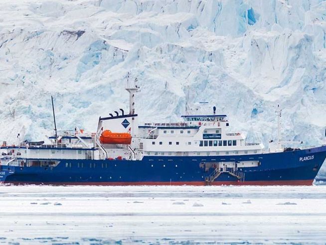 Falklands beschrijving